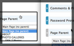 Thumbnail for #41: WordPress as a CMS