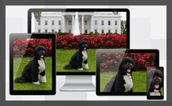 Thumbnail for #133: Figuring Out Responsive Images