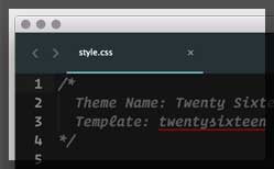 Thumbnail for #145: WordPress Child Themes with Lara Schenck