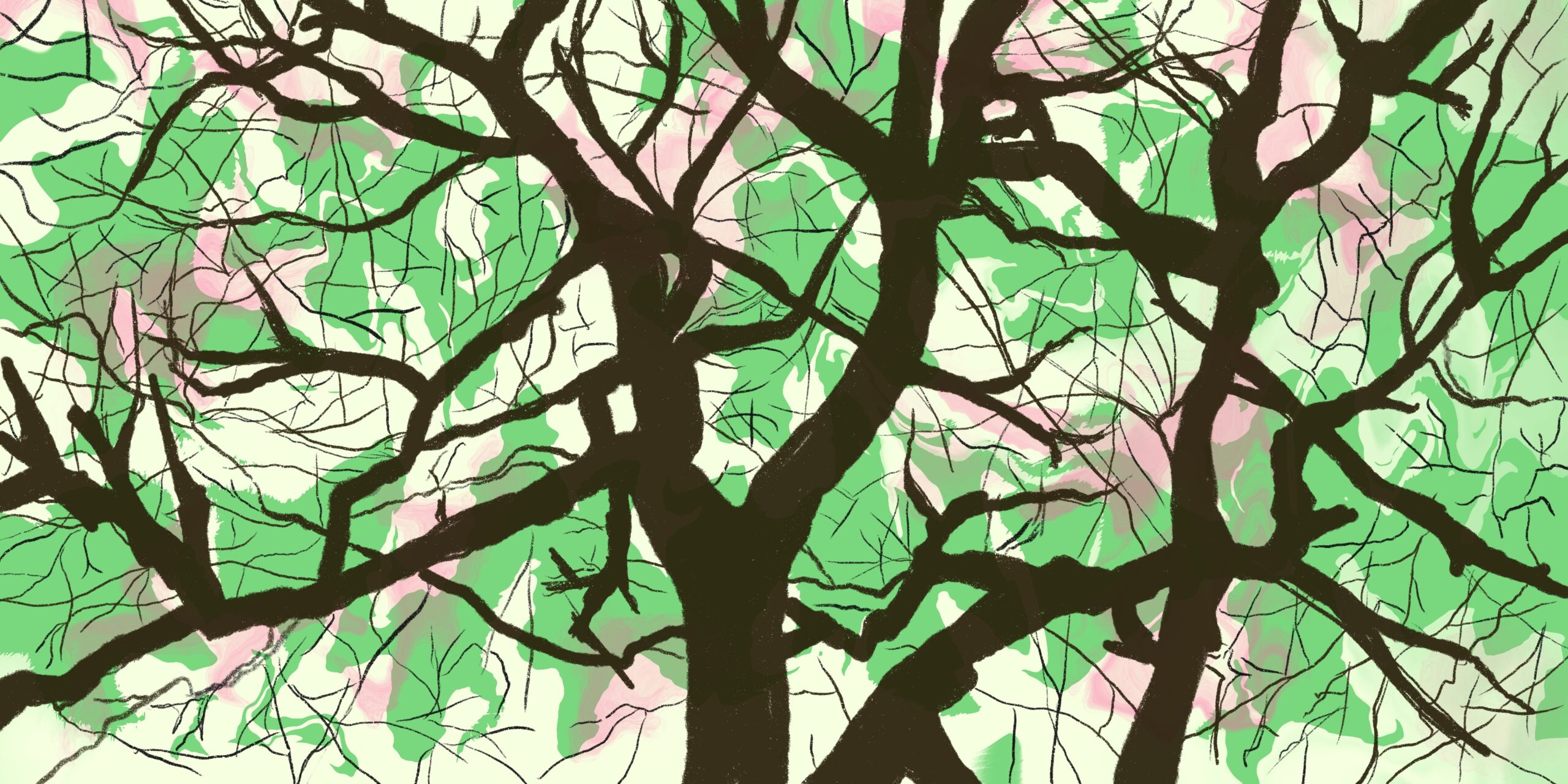 Full color tree illustration.